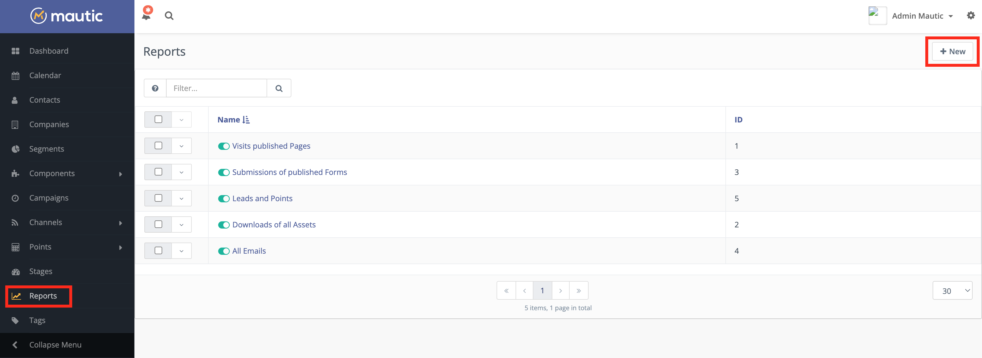 Screenshots of Mautic Report